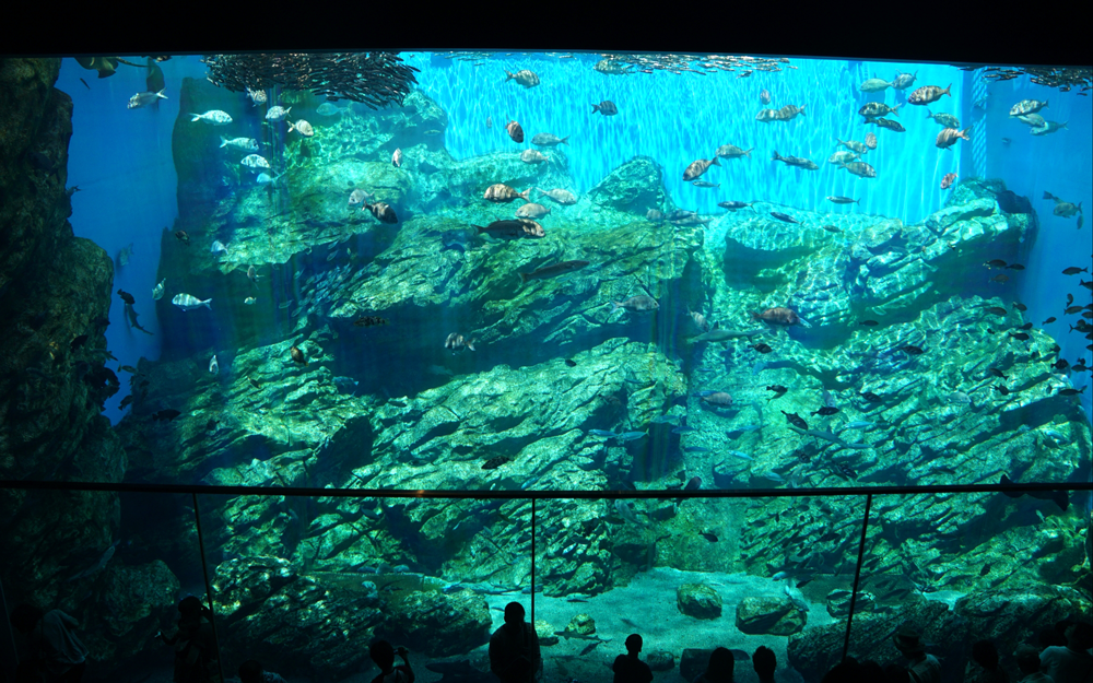 海の杜水族館